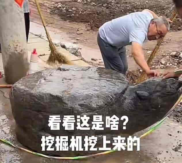 河南一村庄修路挖出大石龟，网友猜测是祥兽“赑屃”及有大墓